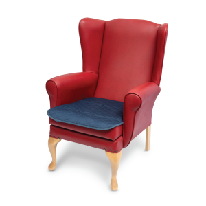 Chair Pad Blue