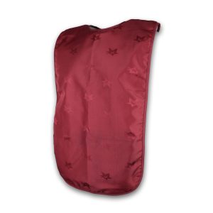 Adult Dignity Bib Blue